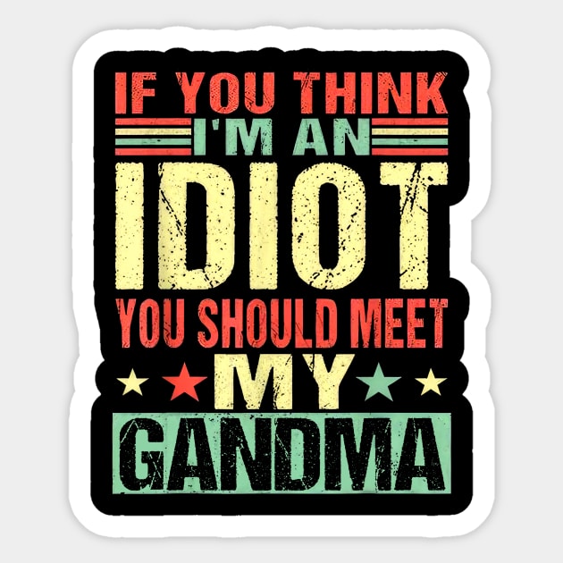 If You Think I'm An Idiot You Should Meet My Grandma Sticker by nakaahikithuy